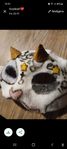 Maskerad mask, get mask