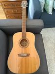 washburn gitarr wd10s nat