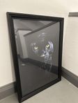 Ram + poster 50x70 cm
