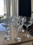 Franklin & Sons Large Tulip Gin Glas