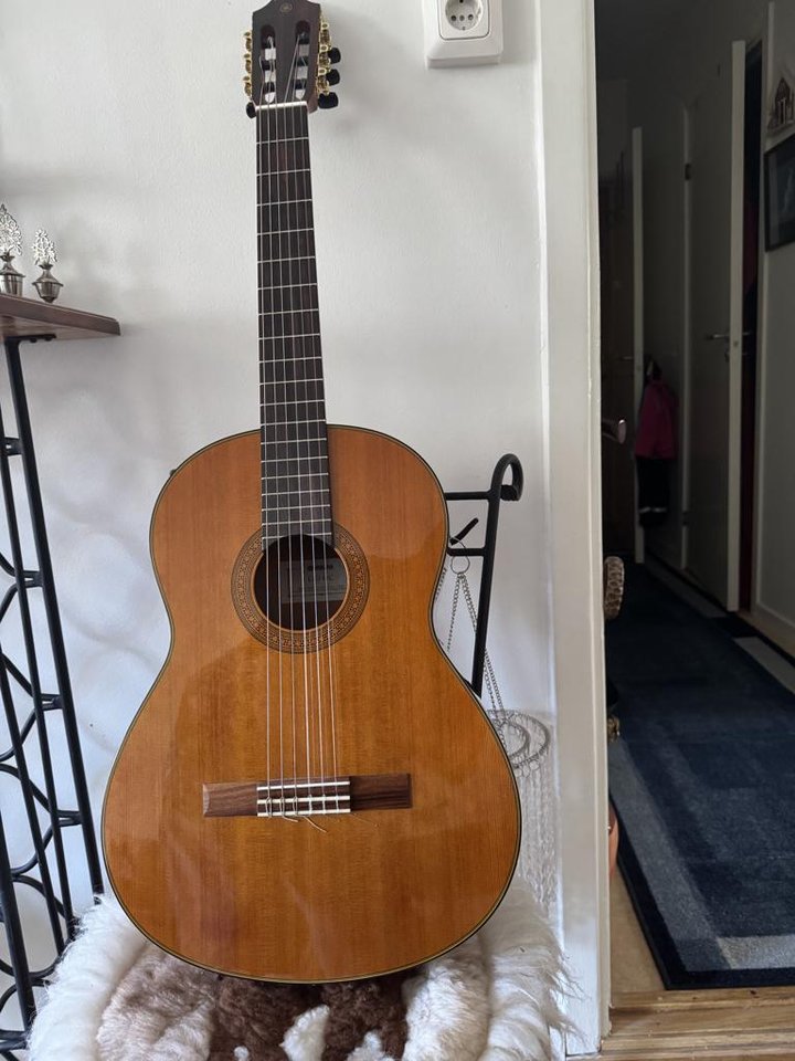 gitarr akustisk nylonsträngar