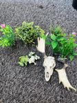 akvarium tillbehör