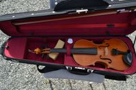 FIOL VIOLIN