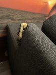 Soffa