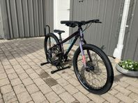 Orbea team disc mx24 