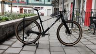 BMC Twostroke 01 FIVE 29er MTB