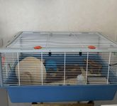 Hamsterbur