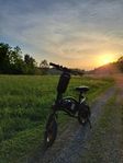 Elscooter DYU D3F 10Ah
