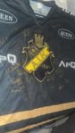 AIK HOCKEY ÅR 2012-13 SHL