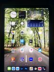 iPad Air 