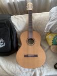 gitarr Kremona S-65C green globe