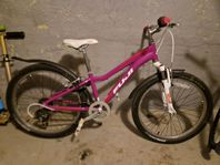 Fuji 24"