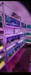 AKVARIESTÄLLNING AKVARIUM 
