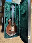 Eastman mandolin MD 314