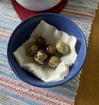 Vaktlar vuxna och kycklingar - Ägg avel- och matägg