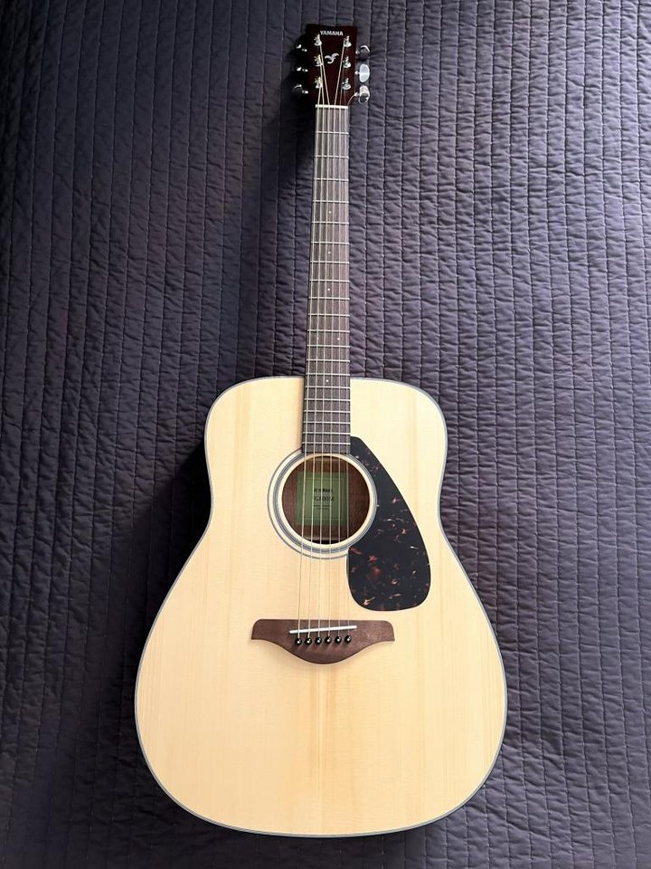 Gitarr (+ fodral)