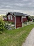Mysig kolonilott på Alnö