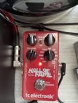 Hall of Fame reverbpedal