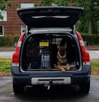 hundburen dubbel inköpt på Agroburen Holmeja .