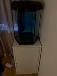 60 L akvarium 