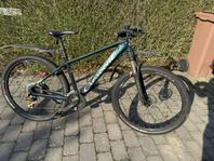 Crescent Modig MTB