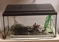 Akvarium 54 Liter