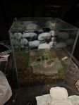 40l nano akvarium komplett 