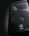 Yamaha DXR10 + Stands 