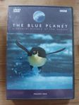 The Blue Planet - Frozen Seas 
