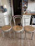 Stolar Fameg rotting 