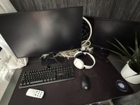 gamingdator INET