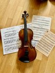 Antik Violin