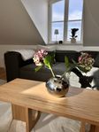 Hilke Vas Amico 20cm