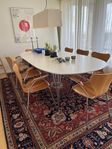 Superellips b619 matbord med 8 sjuanstolar