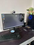 gamingdator plus stol