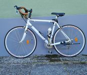 Peugeot Collectors Edition