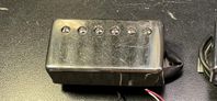 Seymour Duncan Pearly gates bridge