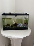 akvarium 20l 