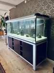 Stort Akvarium 750 Liter 