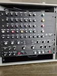 RasEfx ReggaePre Ras5000 way. Dubcase med tillbehör