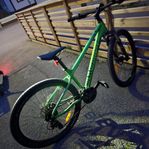 bergamont revox 2