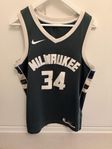 Milwaukee Bucks Nike NBA