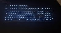 Mekaniskt gaming tangentbord