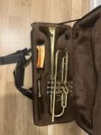 trumpet