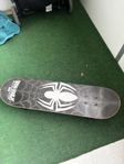 skateboard junior