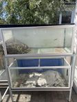 akvarieställning 2x152 liter 