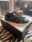 Gucci ace sneakers herr