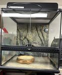 Glasterrarium 