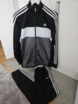 Adidas set 