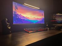 GTX 1080 Ti / i7 9700K / 34” Ultrawide